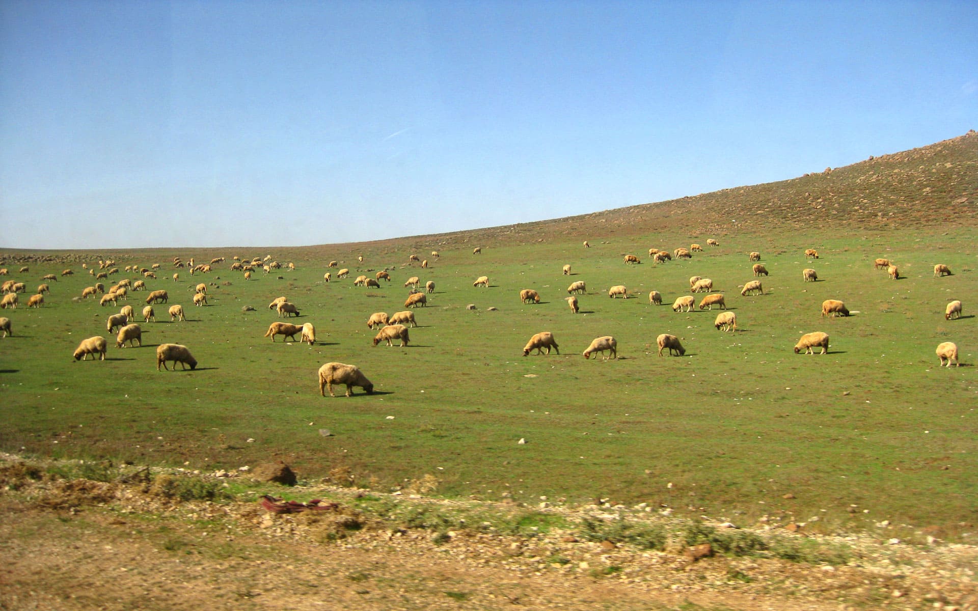 Trekking in the Atlas Mountains with stunning views