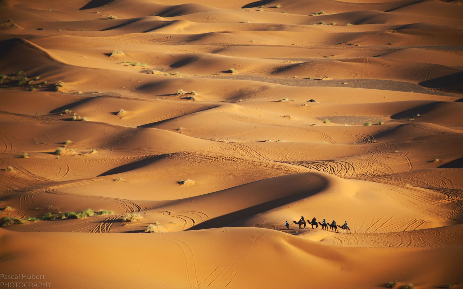 Stunning views of the Sahara Desert in Morocco